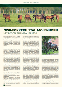 MolenhornWelshMagazineDec2012_001_1